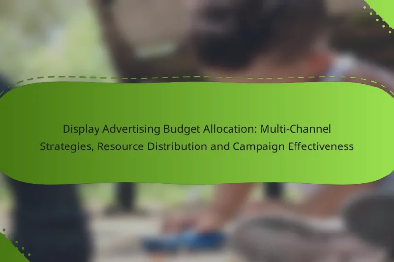 Display Advertising Budget Allocation: Multi-Channel Strategies, Resource Distribution and Campaign Effectiveness