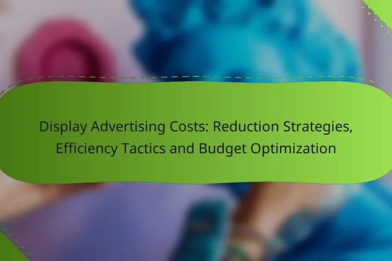 Display Advertising Costs: Reduction Strategies, Efficiency Tactics and Budget Optimization