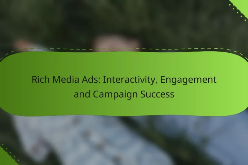 Rich Media Ads: Interactivity, Engagement and Campaign Success