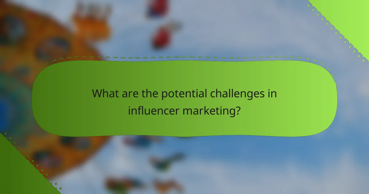 What are the potential challenges in influencer marketing?